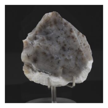 Opale dendrite. 195.0 ct.
