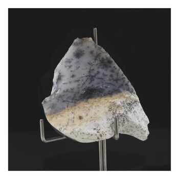 Opale dendrite. 281.5 ct.