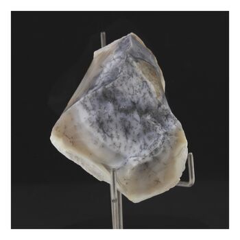 Opale dendrite. 236.5 ct.