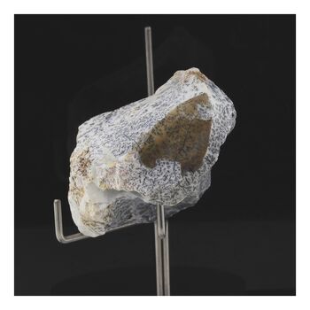 Opale dendrite. 228.5 ct.