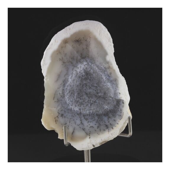 Opale dendrite. 224.0 ct.