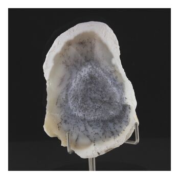 Opale dendrite. 224.0 ct.
