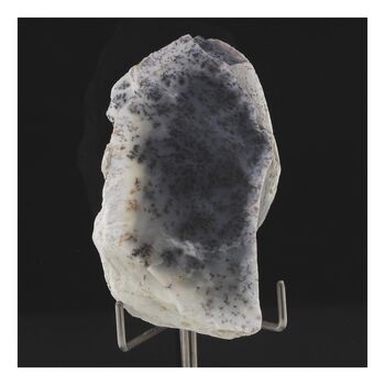 Opale dendrite. 456.0 ct.