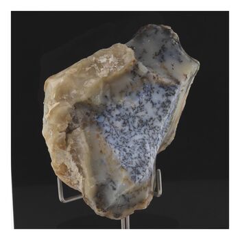 Opale dendrite. 525.0 ct.