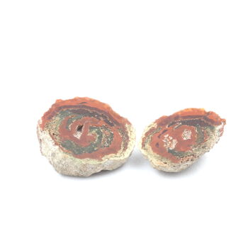Lithophyse. 38.5 ct.
