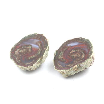 Lithophyse. 76.0 ct.