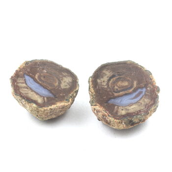 Lithophyse. 107.0 ct.
