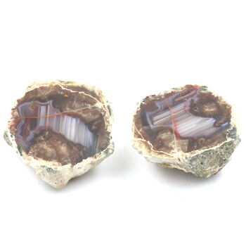 Lithophyse. 131.0 ct.