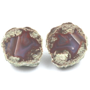 Lithophyse. 162.0 ct.