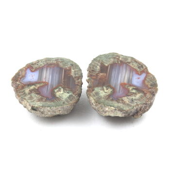 Lithophyse. 115.5 ct.