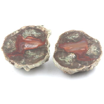 Lithophyse. 142.0 ct.
