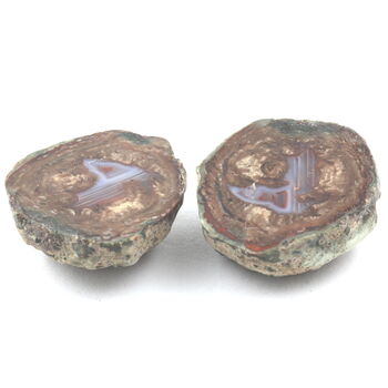 Lithophyse. 155.5 ct.