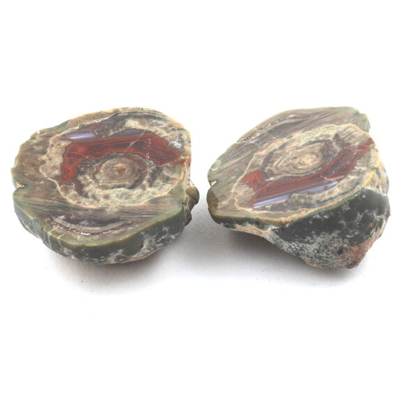 Lithophyse. 171.0 ct.