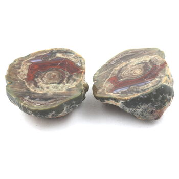 Lithophyse. 171.0 ct.