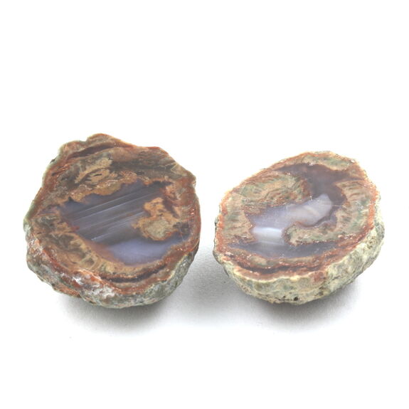 Lithophyse. 137.0 ct.