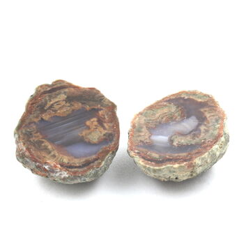 Lithophyse. 137.0 ct.