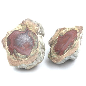 Lithophyse. 193.0 ct.
