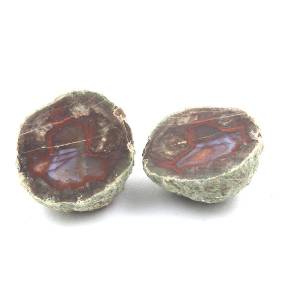 Lithophyse. 205.5 ct.