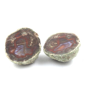 Lithophyse. 205.5 ct.