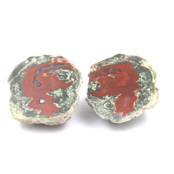 Lithophyse. 179.0 ct.