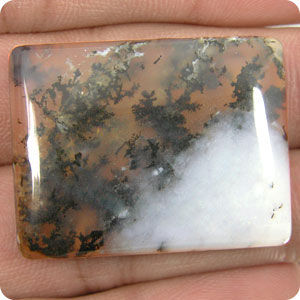 50.70 cts AGATE DENDRITE