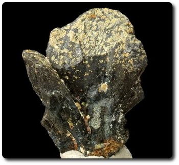 14 grammes COLUMBITE