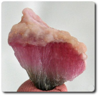 16,75 carats CRISTAL TOURMALINE RUBELLITE