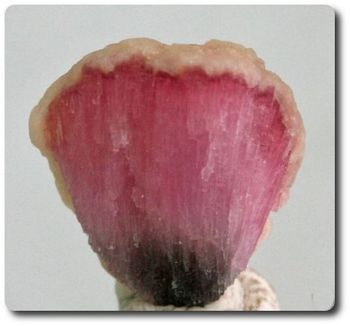 17.75 cts RUBELLITE TOURMALINE CRYSTAL