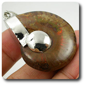 93.61CT. Natural Ammonite Fossil pendant