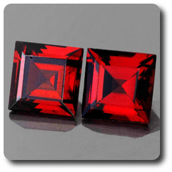 1.64CT. 2 pcs RED GARNET. IF