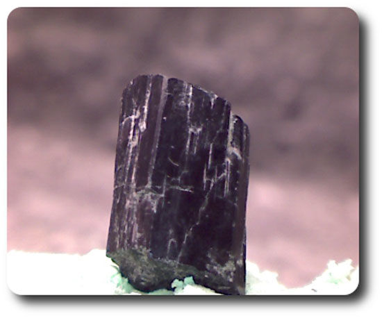 9,5  cts TOURMALINE SCHÖRL