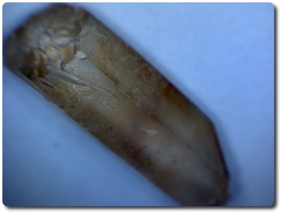 7.3 carats CRISTAL DE QUARTZ