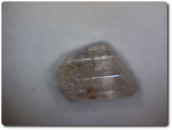 2,8  cts SCAPOLITE