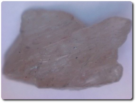 5.0 cts PARGASITE CRYSTAL