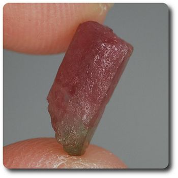2.43 cts WATERMELON TOURMALINE CRYSTAL