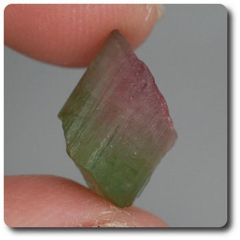 6.12 cts WATERMELON TOURMALINE CRYSTAL