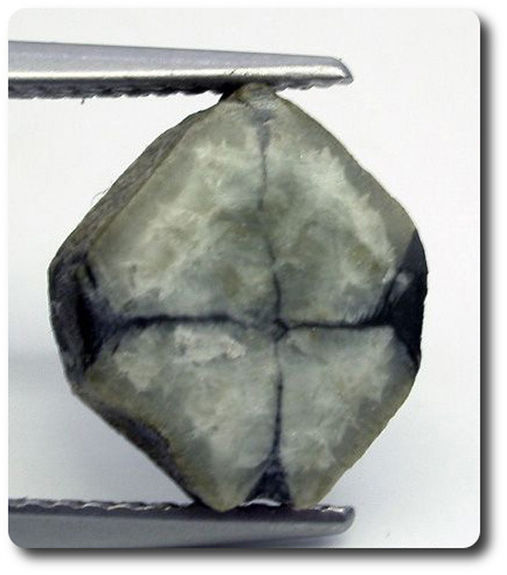 3.61 cts  CHIASTOLITE