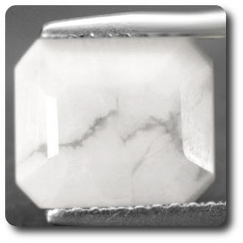 3.77 CT. NATURAL HOWLITE