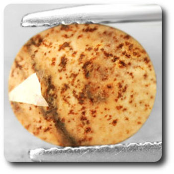 1.65 CT. NATURAL MULTICOLOR JASPER