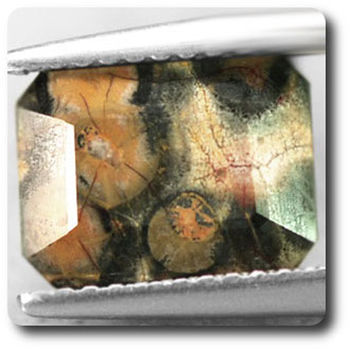 2.66 cts JASPE MULTICOLORE