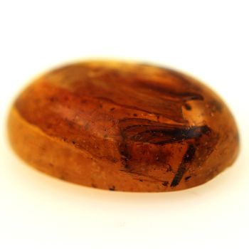 9.02 cts COPAL AVEC INSECTE