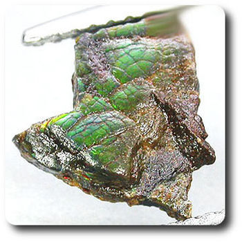 1.13 cts AMMOLITE CRYSTAL