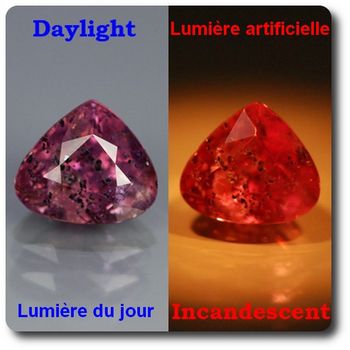 1.62 cts SAPHIR COULEUR CHANGEANTE . I1