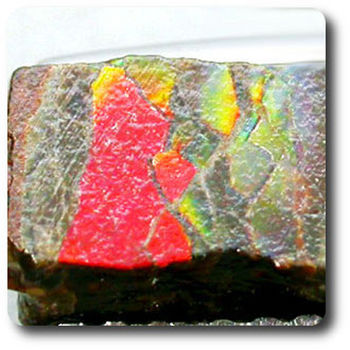2.30 cts AMMOLITE CRYSTAL