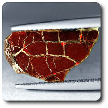 1.88 cts AMMOLITE CRYSTAL