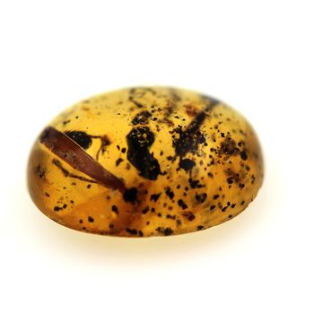 9.73 cts COPAL AVEC INSECTE