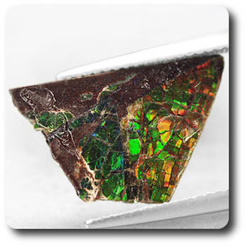 1.81 carats CRISTAL D' AMMOLITE