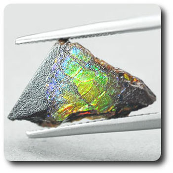 2.75 cts AMMOLITE