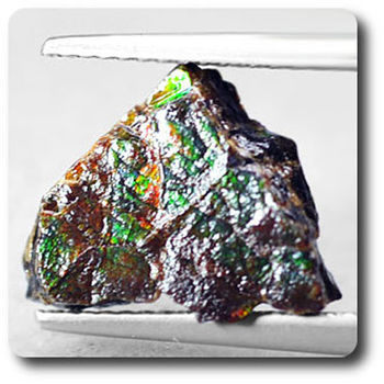3.26 carats AMMOLITE