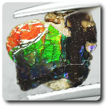 1.29 carats CRISTAL D' AMMOLITE